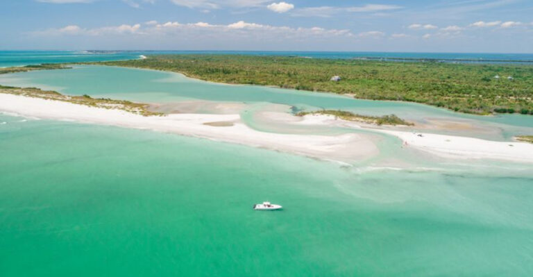 11 Florida Beaches Where You Can Find Beautiful Shells Without The Crowds