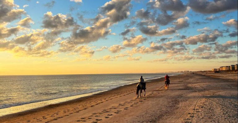 11 Florida Ranches Where Horseback Riding Feels Relaxing, Peaceful, and Easy To Enjoy