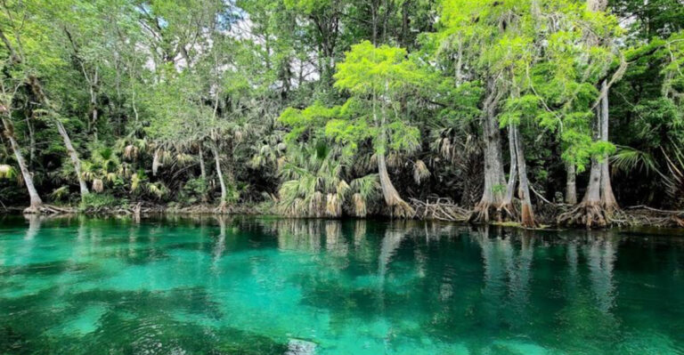 12 Florida Day Trips That Feel Like Mini Vacations