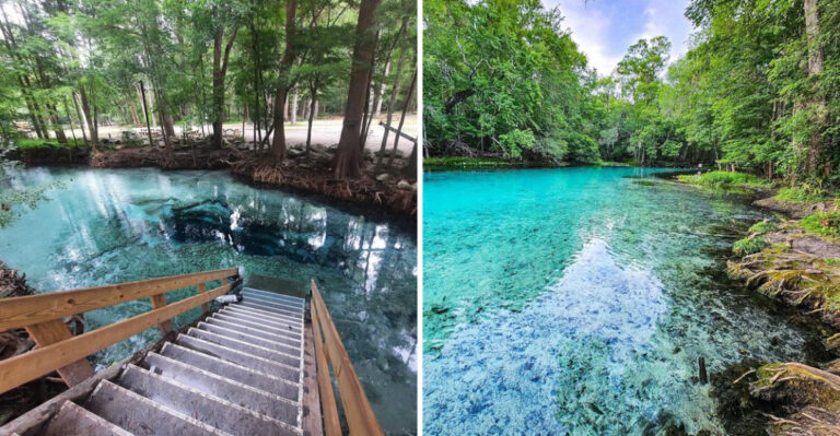 14 Relaxing Florida River Floats Every Nature Lover Should Experience
