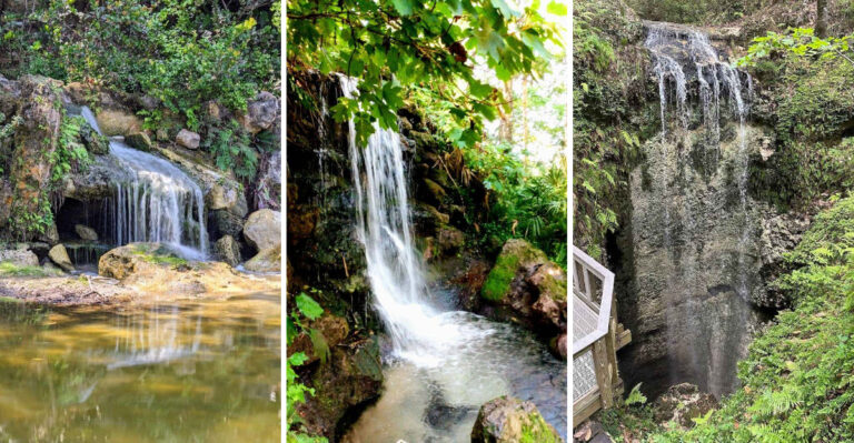 15 Florida Waterfalls You Won’t Believe Exist