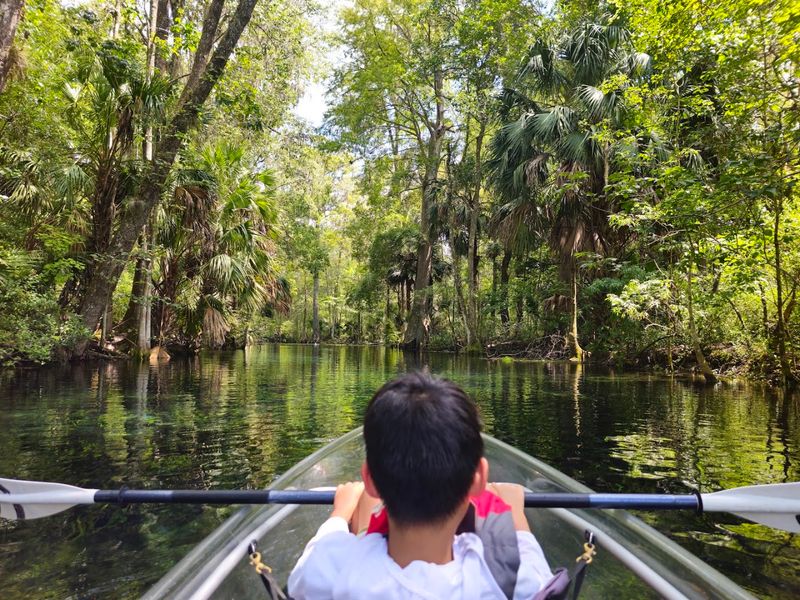 Wild Monkeys Living Along the Riverbanks