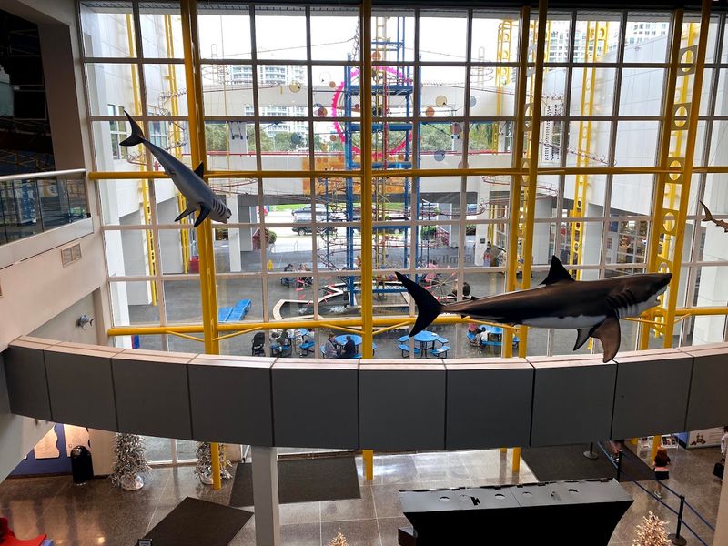 Special Traveling Exhibits That Keep Changing the Experience