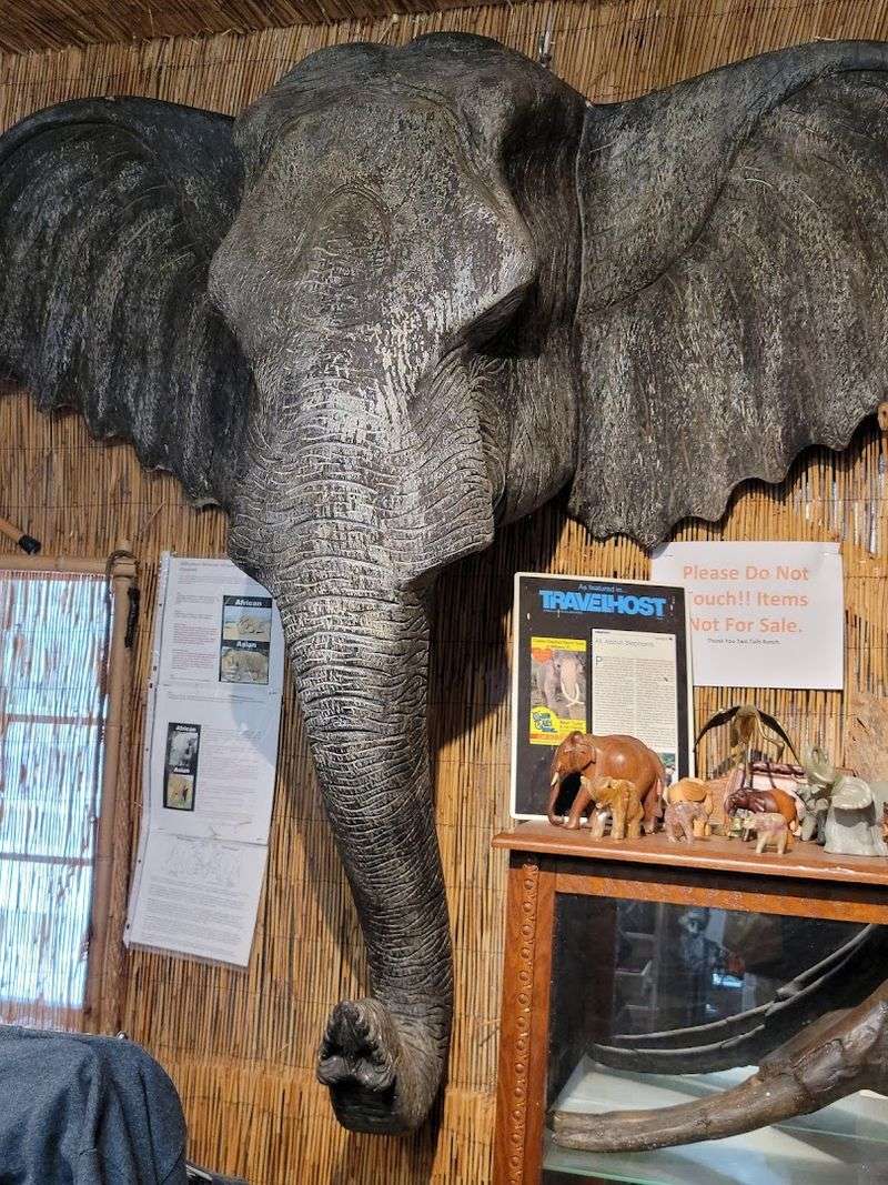 Explore the Museum and Gift Shop