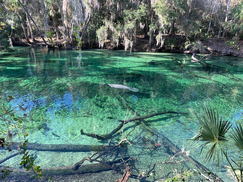 Blue Spring State Park