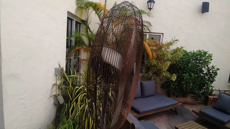 Dog-Friendly Outdoor Courtyard