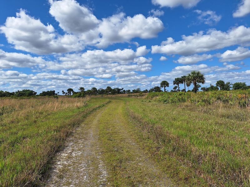 Open Prairie Landscapes Unlike Anywhere Else in Florida