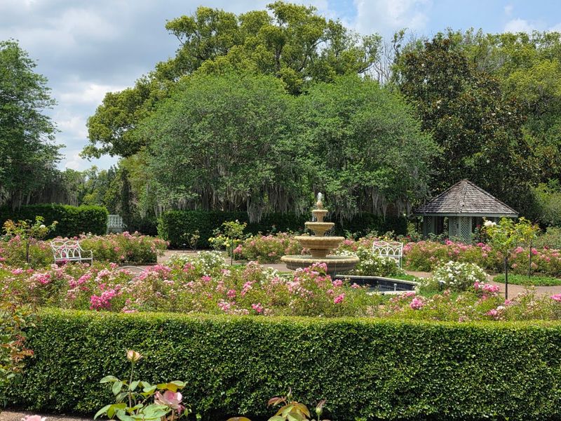 Harry P Leu Gardens – Orlando