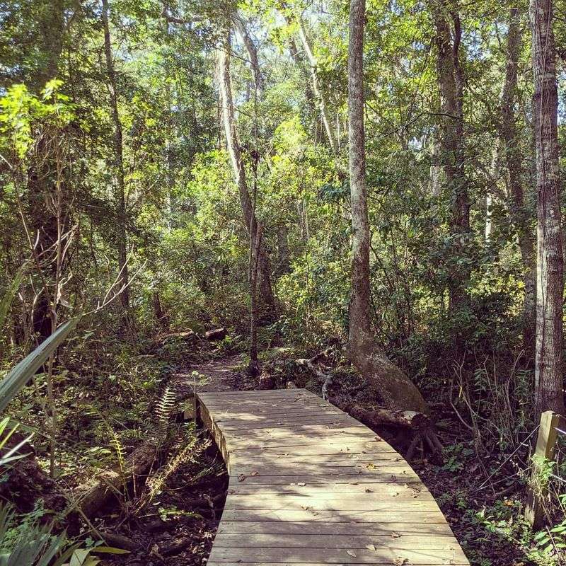 Miles of Easy-to-Follow Trails That Mix Paved Comfort with Natural Terrain