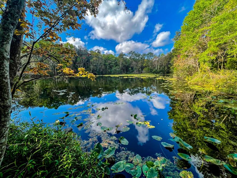 Peaceful Lakes and Wooden Observation Decks That Frame Perfect Nature Moments