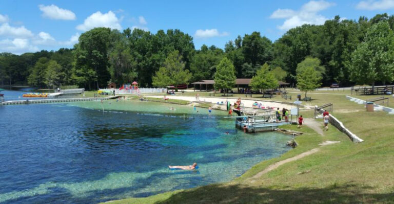 64 Million Gallons of Crystal-Clear Water Flow Through This Stunning Florida Spring Daily