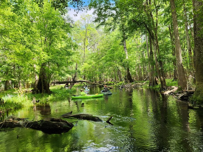 Gilchrist County Santa Fe River Park – High Springs