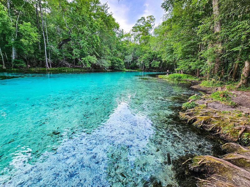 Gilchrist Blue Springs State Park – High Springs