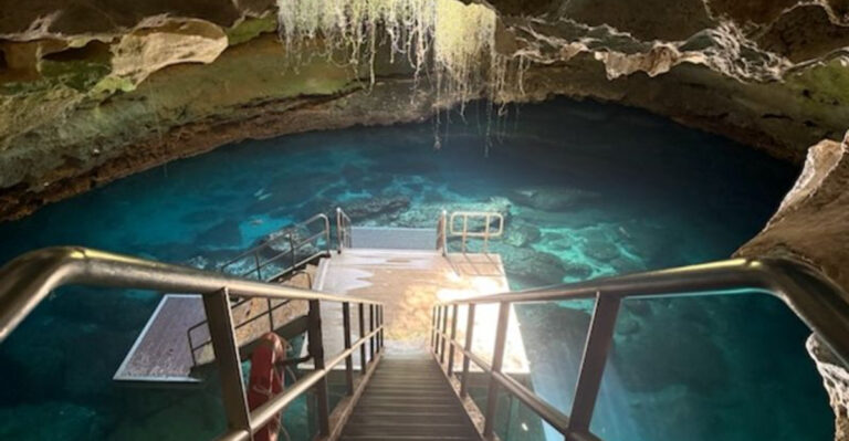 9 Florida Attractions That Feel Slightly Forbidden Even Though They’re Completely Legal