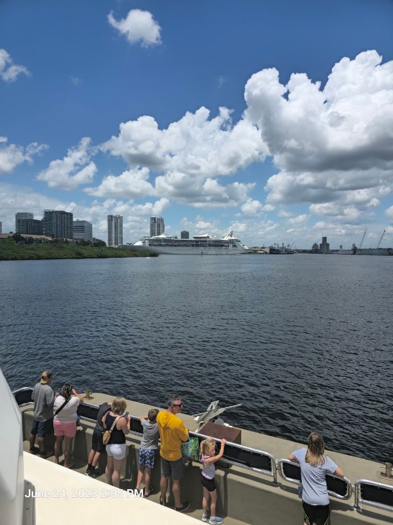 Florida Aquarium Dolphin Boat Tours – Tampa