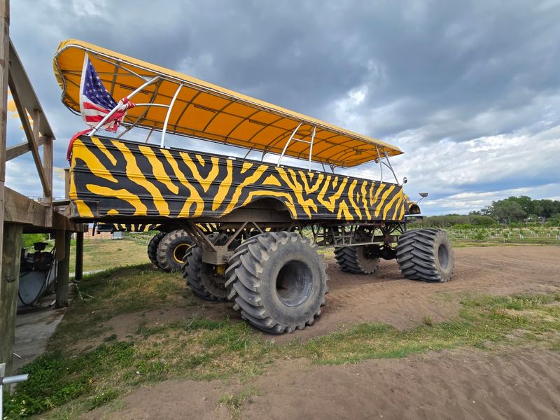 Monster Truck Safari Through Working Citrus Groves