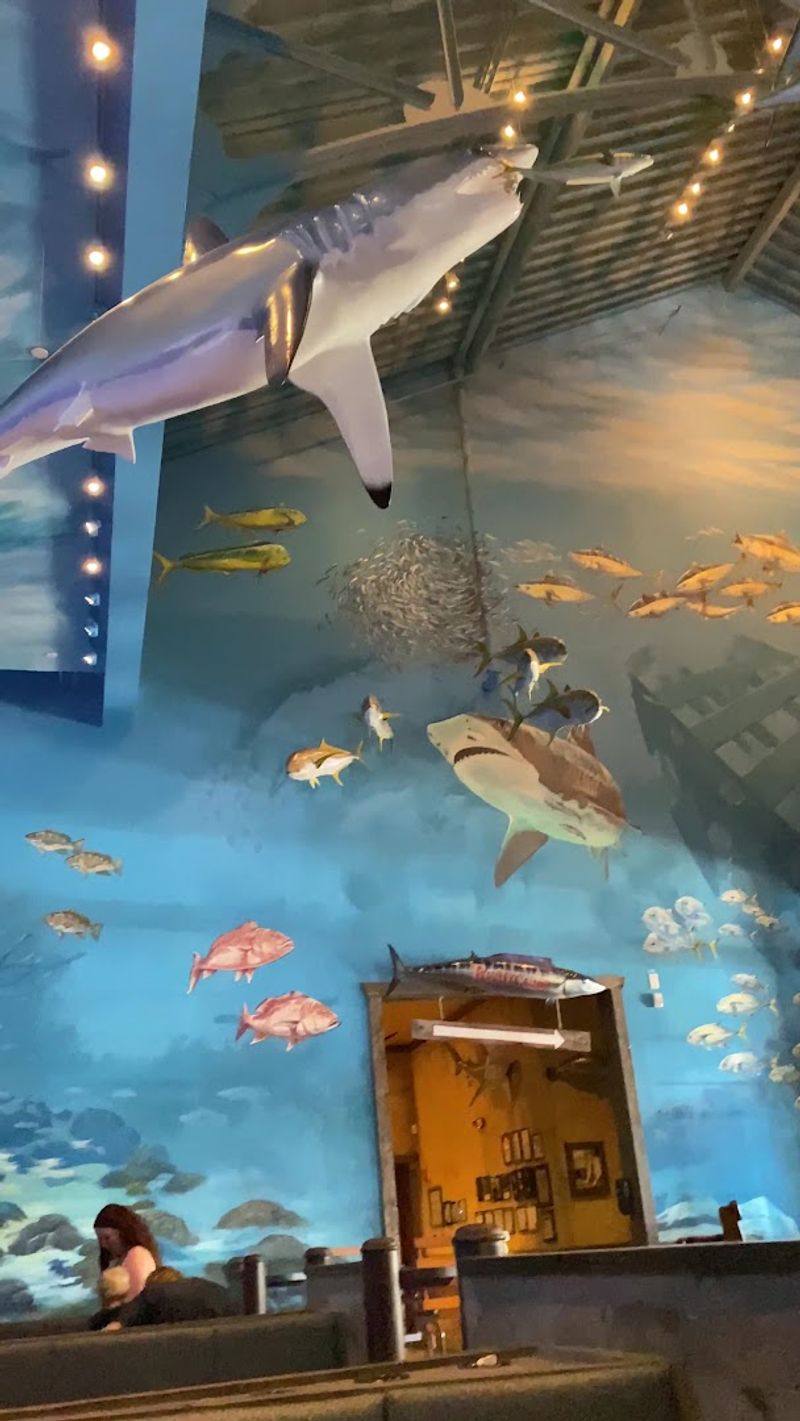 An Aquarium Atmosphere That Truly Immerses You