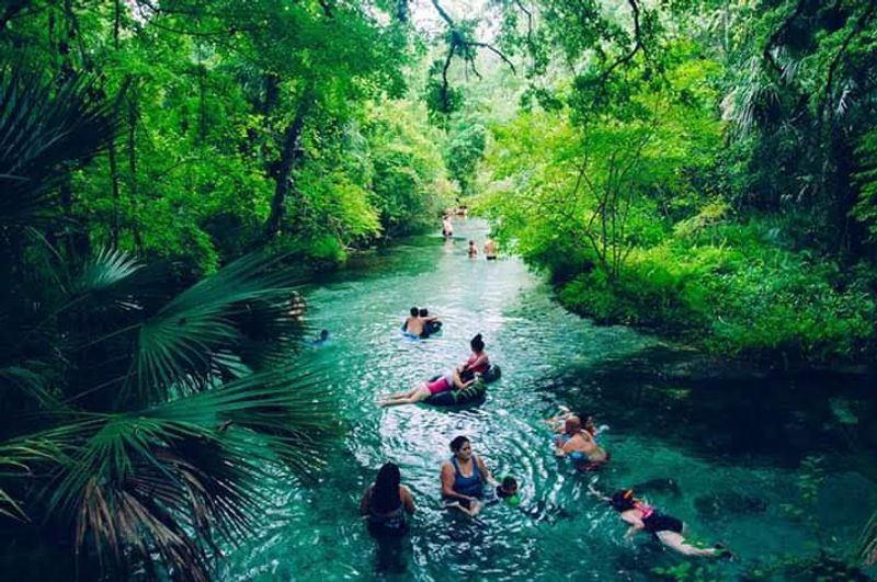 Rock Springs Run at Kelly Park – Apopka