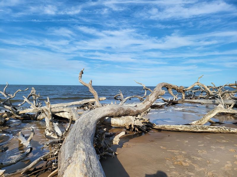 Big Talbot Island State Park – Jacksonville