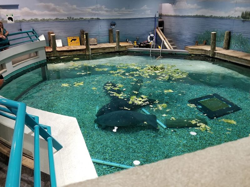 Florida's Native Peoples Get the Spotlight They Deserve