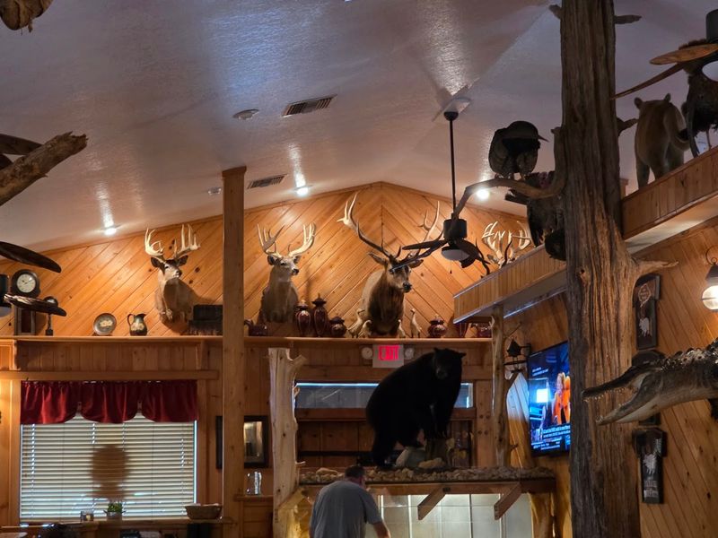 Rustic Cabin Atmosphere With Hunting Lodge Vibes