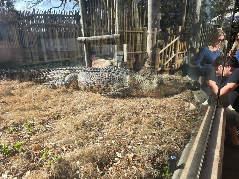 Volunteer Guides Who Know Every Animal's Backstory