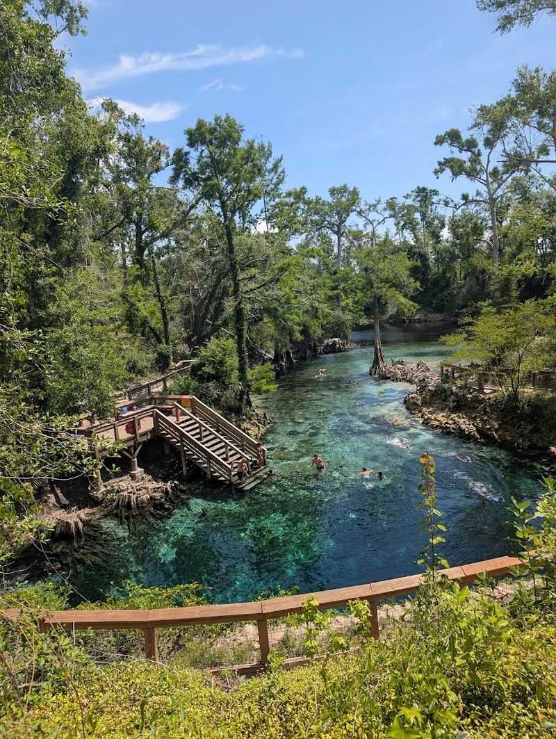 Madison Blue Spring State Park – Lee