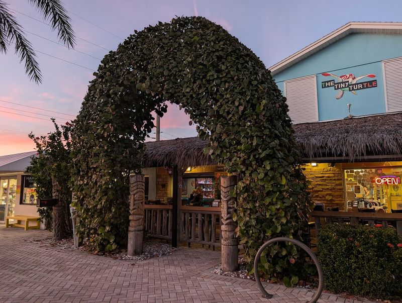 The Tiny Turtle - Cocoa Beach