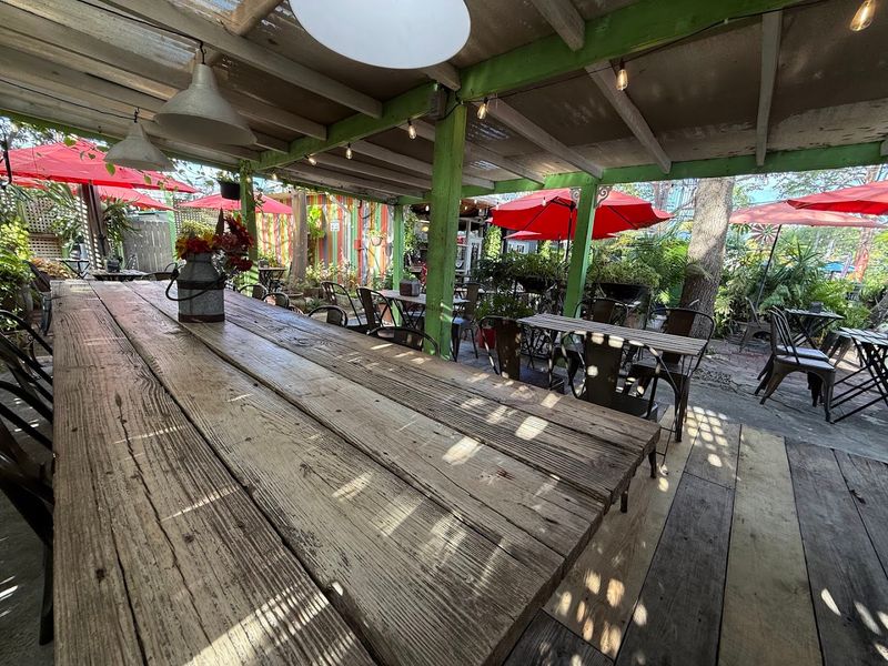 Dog-Friendly Patio Where Your Pup Is Part of the Experience