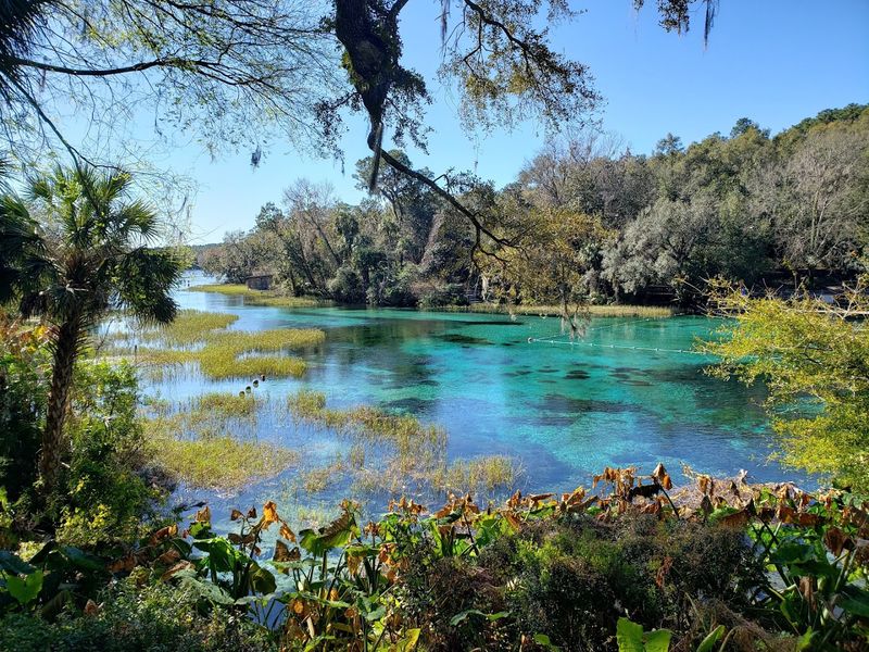 Rainbow Springs State Park - Dunnellon