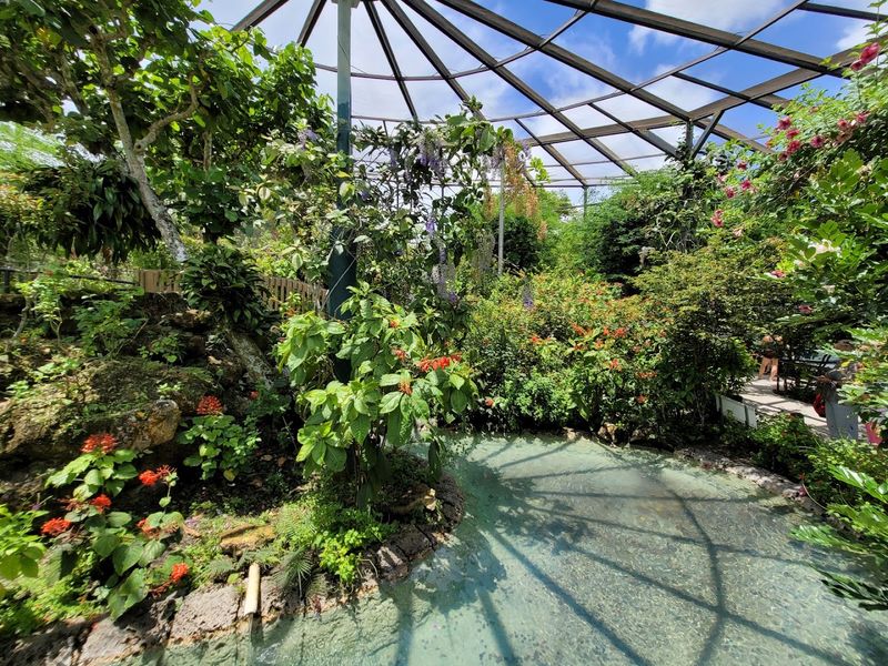Butterfly World - Coconut Creek