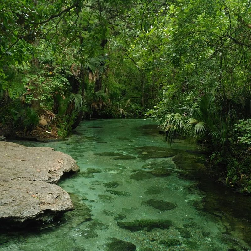 Rock Springs Run at Kelly Park – Apopka