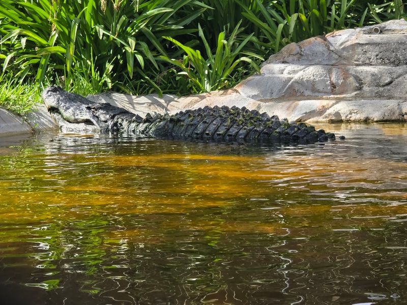 Conservation Work That Actually Matters