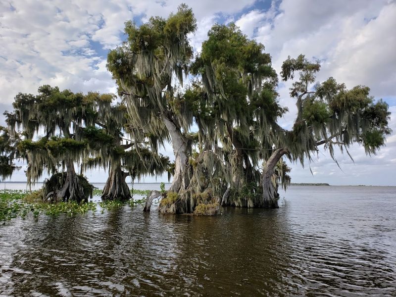 Lake Istokpoga – Sebring