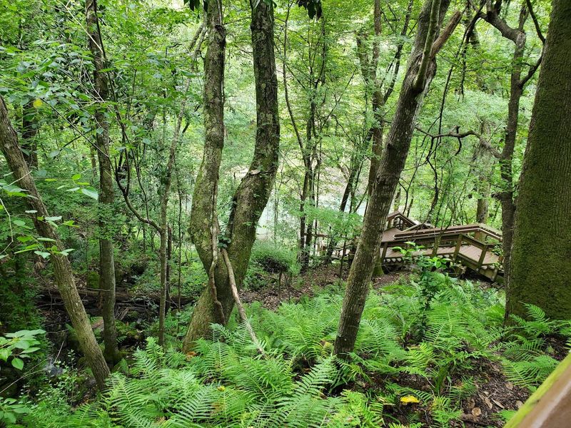 The 232-Step Descent Into Another Climate Zone