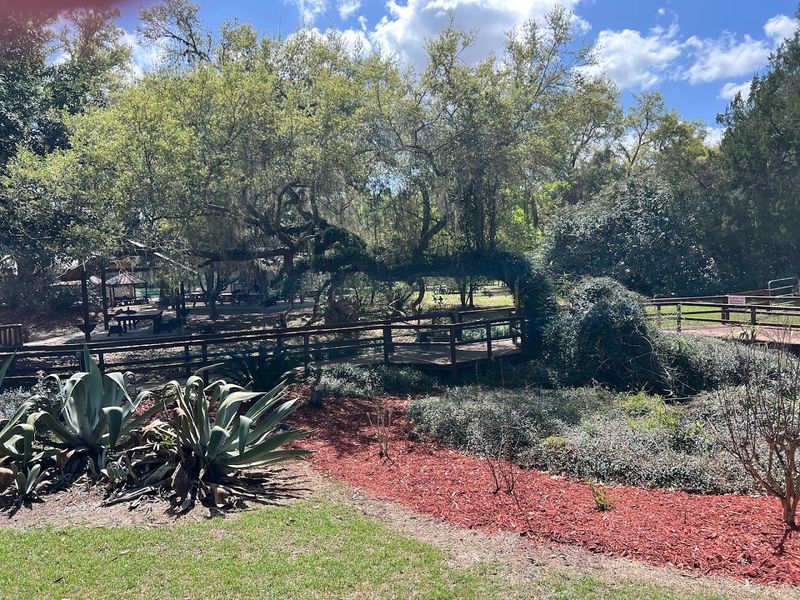 Full-Service Campground And Cabin Accommodations