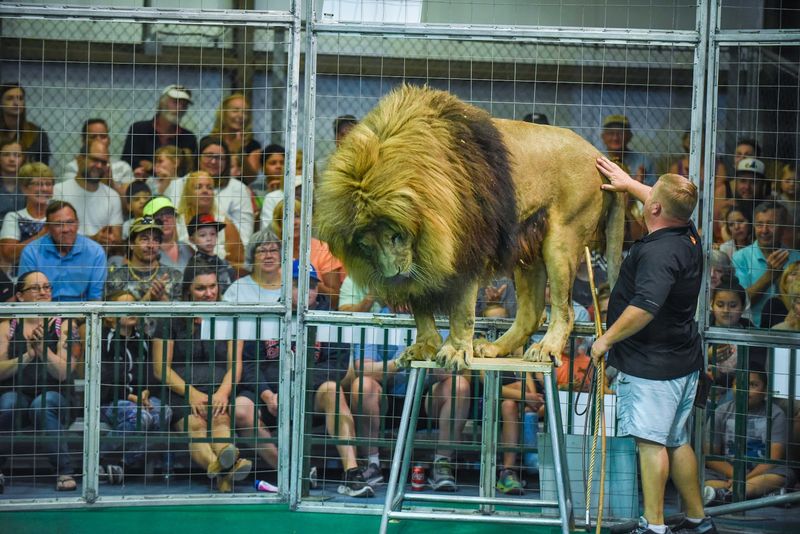 Educational Shows That Entertain While Teaching Conservation