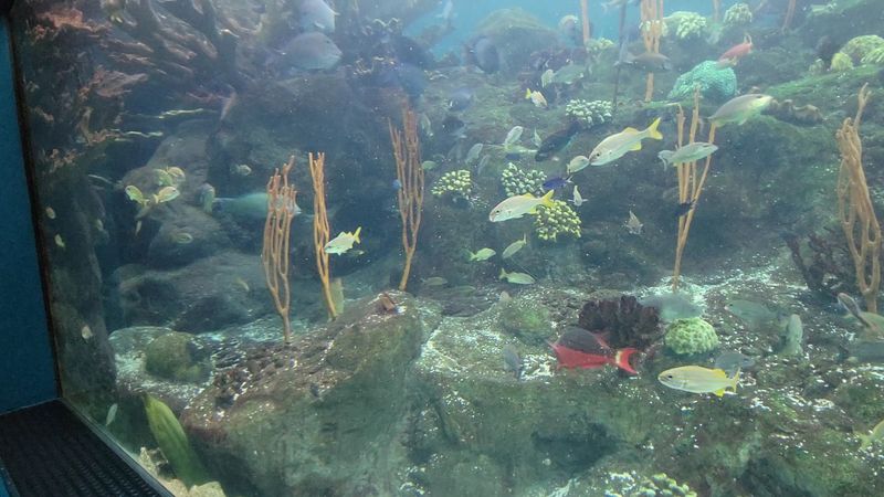 Bays and Beaches: Florida's Coastal Ecosystems