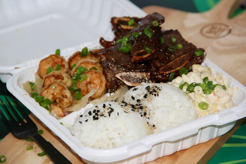 Domoishi – Tampa