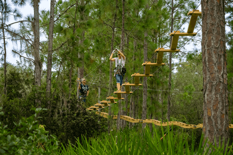 TreeUmph! Adventure Course - Bradenton