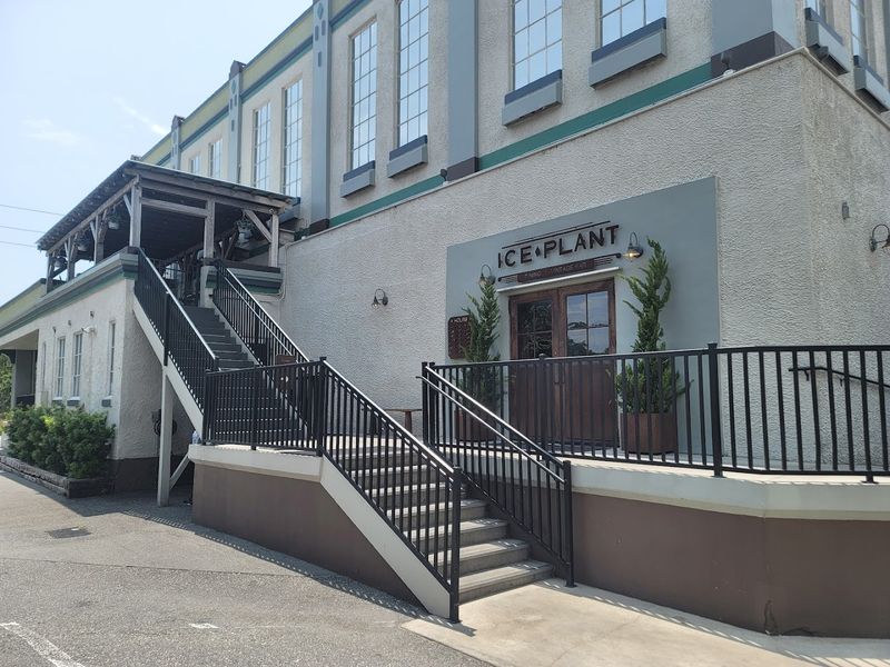Ice Plant Bar