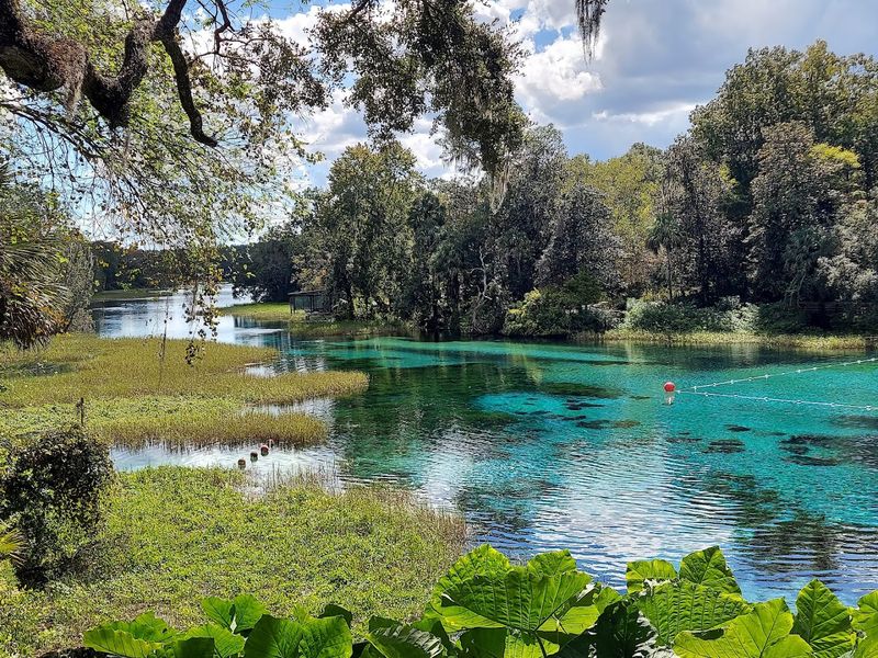 Rainbow Springs State Park – Dunnellon
