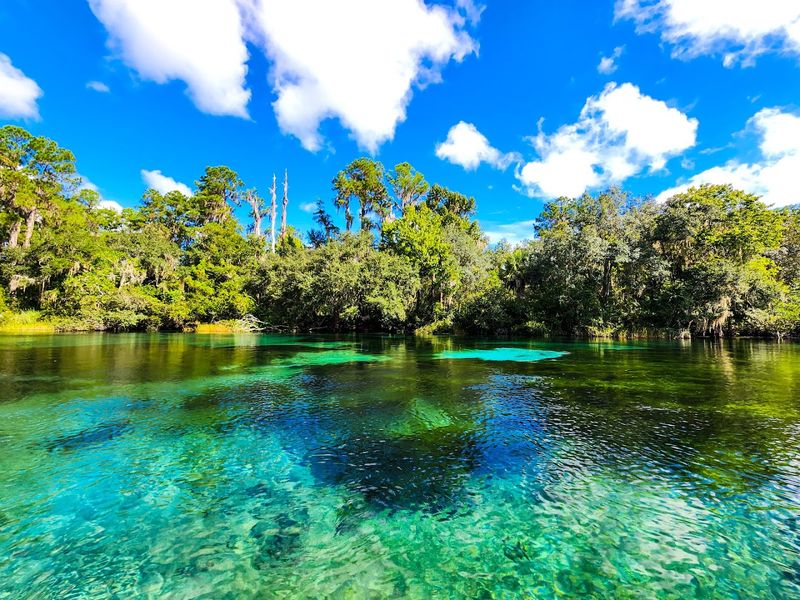 Rainbow Springs State Park – Dunnellon