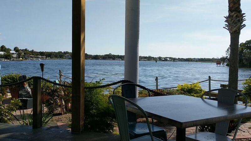 Waterfront Dining With Actual Wildlife