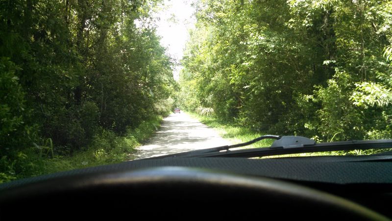 This 11-Mile Florida Drive Feels Like A Journey Through A Hidden Paradise
