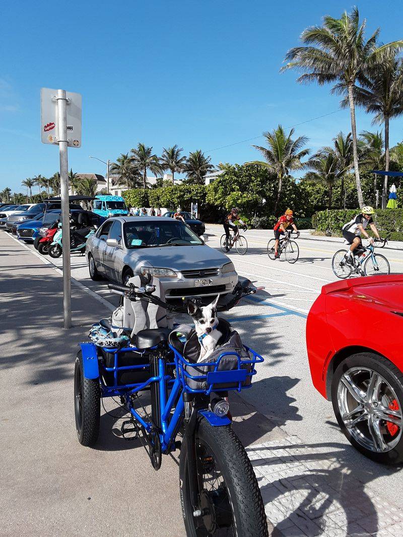 Palm Beach's Gilded Elegance