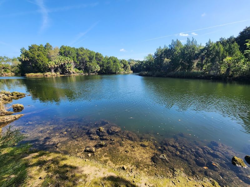 Crystal River Preserve State Park – Crystal River