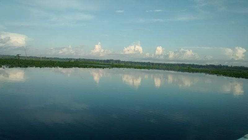 Lake Rousseau – Crystal River