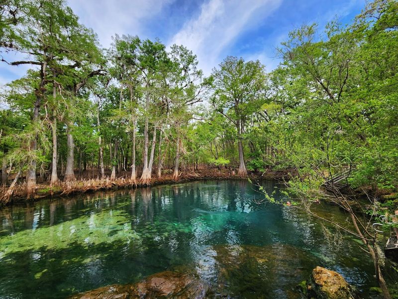 Manatee Springs State Park – Chiefland