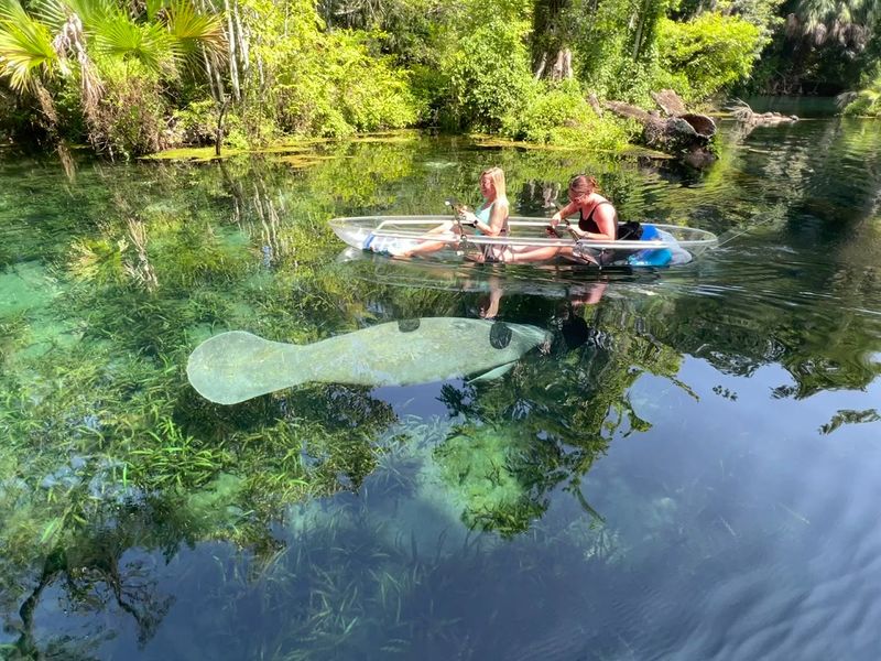 Expert Guides Who Know Every Wildlife Hiding Spot